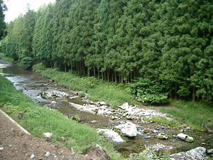 天川村を流れる「天の川」です。この河川の保全状態が優秀なため、国土交通省より「水の郷」として認定されています。